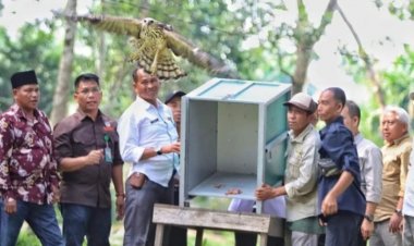 PTPN V Dukung Penguatan Desa Wisata Buluh Cina