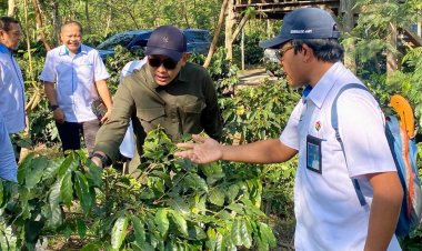 PTPN V dan PTPN XII Bersinergi Kembalikan Legenda "Kopi Jawa"