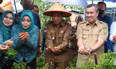 ASN Pekanbaru Didorong jadi Teladan Program Penanaman Cabai di Pekarangan Rumah