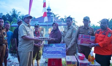 Tinjau Banjir di Kampung Mengkapan, Bupati Siak Serahkan Bantuan