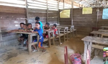 Sekolah Viral 'Laskar Pelangi' di Rohul, Disdikpora: Bantuan DAK Terbentur Kawasan Hutan Lindung