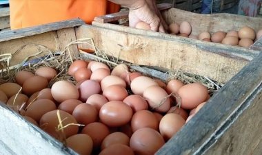 Jelang Nataru Harga Bahan Pokok di Pekanbaru Mulai Alami Kenaikan