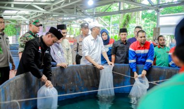 Perkuat Ketahanan Pangan, Pertagas Hadirkan Program Budidaya Ikan Gurami di Dumai