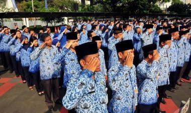 Pendaftaran CPNS 2023 Dibuka Juni, Lowongan Ditawarkan Lebih Banyak