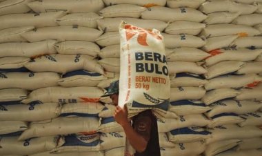 Masih Aman, Stok Beras di Riau Cukup Untuk 4 Bulan ke Depan