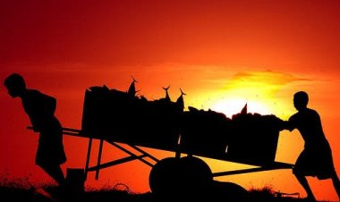 Keutamaan Bekerja, Bisa Hapus Dosa Hingga Setara Jihad