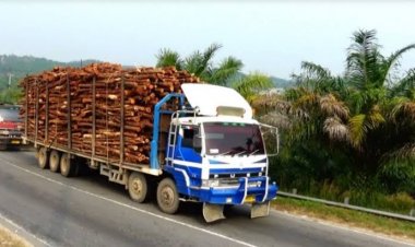 Sebanyak 4.353 Unit Truk ODOL Ditilang di Riau