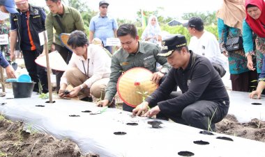 Inflasi Terus Melandai, Langkah Strategis Pemko Pekanbaru Dari Pasar Murah Hingga Subsidi Angkutan
