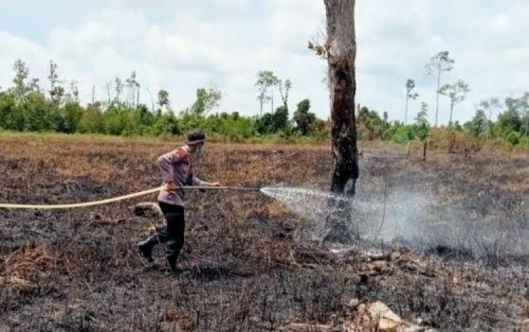 3 Daerah Di Provinsi Riau Ini Rawan Terjadi Karhutla