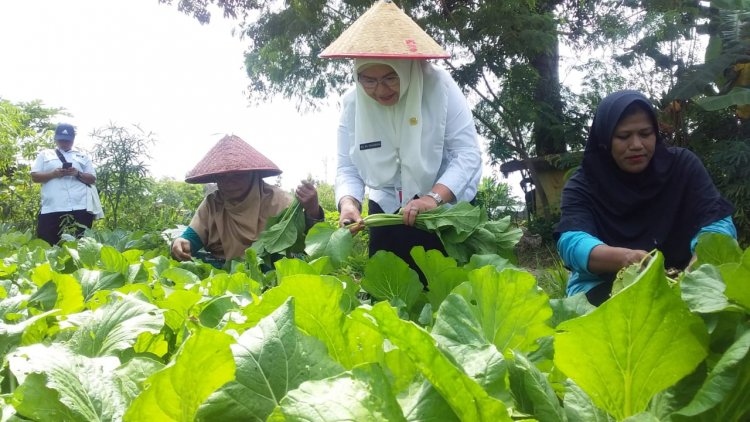 Geliat Kelompok Wanita Tani Pekanbaru, Berdayakan Perempuan Wujudkan Keluarga Sejahtera