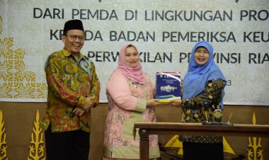 Bupati Bengkalis Serahkan LKPD Unaudited TA 2022 Kepada BPK