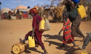 43 Ribu Orang di Somalia Meninggal Akibat Kekeringan