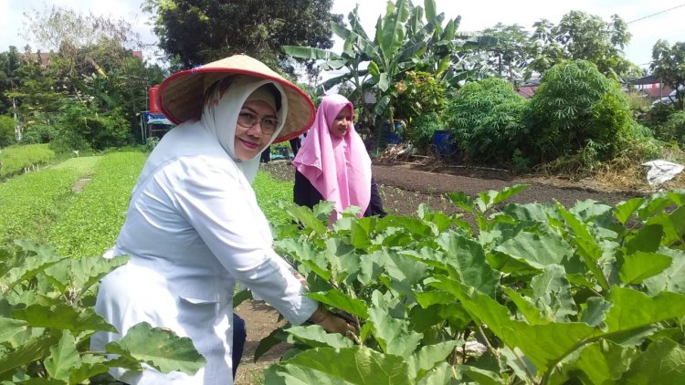 Disketapang Pekanbaru Berkomitmen Perkuat Ketahanan Pangan dengan Aplikasi SiDIVA