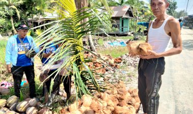 Menggantungkan Asa Pada Butiran Kelapa, Habis Gelap Terbitlah Terang 