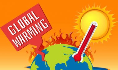 Apa Itu Pemanasan Global? Ini Penyebab, Dampak, dan Cara Menanggulanginya