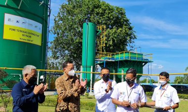 Sub Holding PalmCo dan SupportingCo Diproyeksikan Akselerasi Dekarbonisasi Industri Sawit Dunia