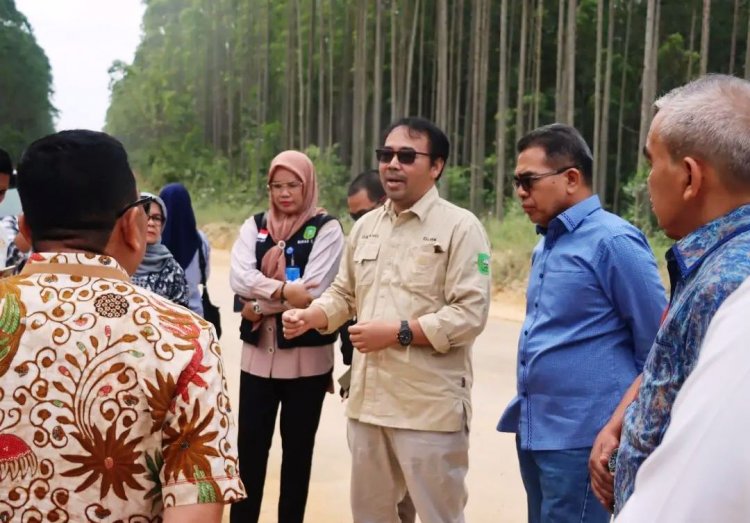 Tinjau Lahan yang Ditanami Sawit Oleh Warga, Pansus Pengelolaan Hutan Kunjungan Observasi ke KPH Sorek