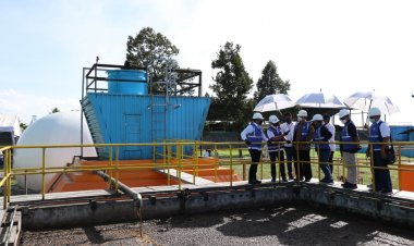 Jelang Palm Co, PTPN V Berhasil Kantongi 100 Persen Sertifikasi RSPO