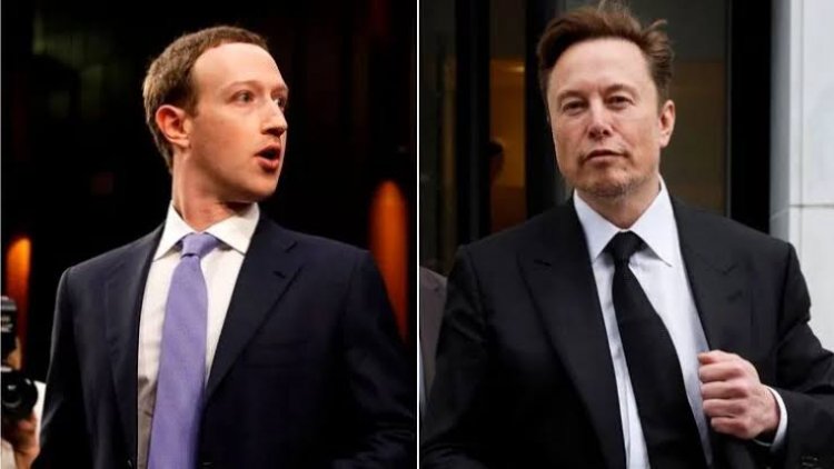 Elon Musk & Mark Zuckerberg Mau Adu Jotos, Ini Kronologinya