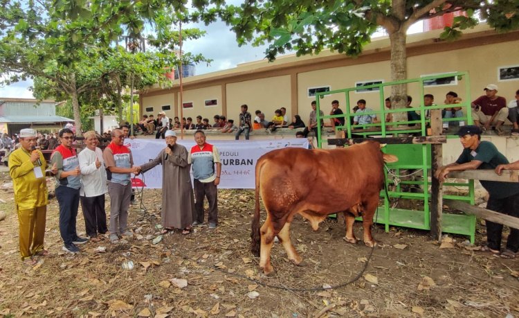 Keluarga Besar PHR Sebar 124 Sapi dan 65 Kambing Kurban untuk Masyarakat