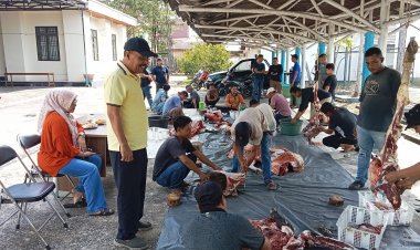 DTPHP Bengkalis Kurbankan Dua Ekor Sapi, Daging Dibagikan untuk Pegawai dan Masyarakat