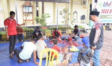 Sekretariat DPRD Bengkalis Sembelih 5 Ekor Sapi Kurban, Daging Dibagikan ke Pegawai dan Masyarakat