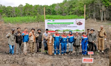 Pertagas Tanam 1.200 Pohon Dalam Upaya Konservasi Primata Endemik Riau di Balai Raja