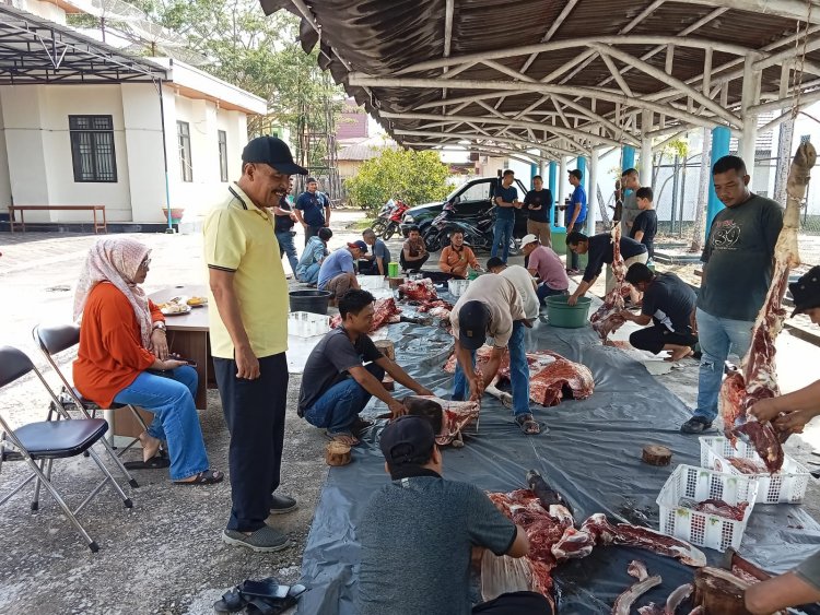 DTPHP Bengkalis Kurbankan Dua Ekor Sapi, Daging Dibagikan untuk Pegawai dan Masyarakat