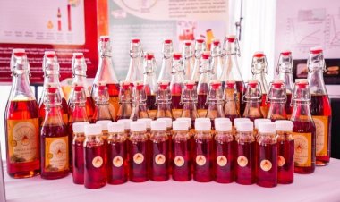 Minyak Makan Merah Disosialisasikan di Pekanbaru, Kaya Kandungan Vitamin