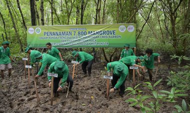 Wakil Rektor UNRI Tanam Mangrove Bersama PT KPI di Kawasan Kampus Purnama UNRI Dumai