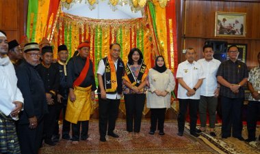 Gubernur Riau Harap Seluruh Desa di Riau Jadi Desa Digital