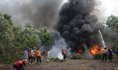 Pakar AS Peringatkan Bahaya El Nino Buat RI, Termasuk Karhutla