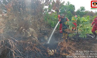 Karhutla Kembali Terjadi di Kampar, Asap Masuk ke SMP Negeri 8 Tambang