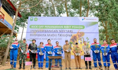 Tingkatkan Produksi Madu Trigona, Pertagas Tanam Bibit Pohon Pengembangan Nektar