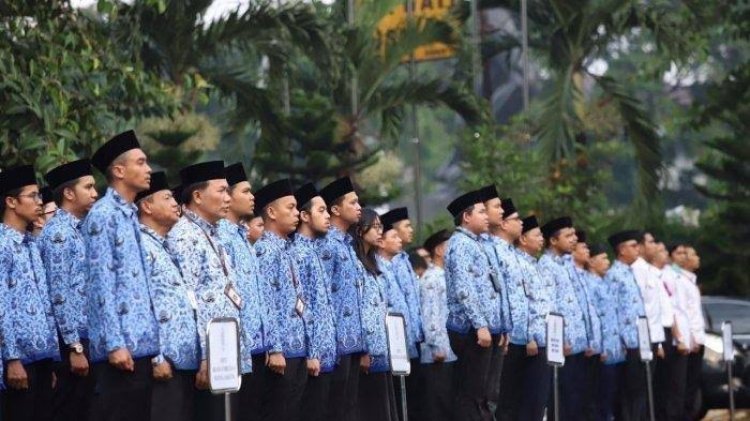 Mulai November 2023, Instansi Pemerintah Tak Boleh Rekrut dan Pekerjakan Tenaga Honorer