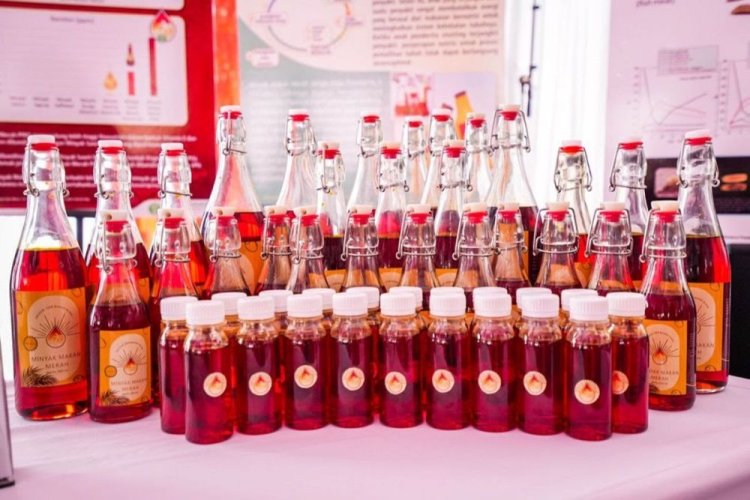 Minyak Makan Merah Disosialisasikan di Pekanbaru, Kaya Kandungan Vitamin