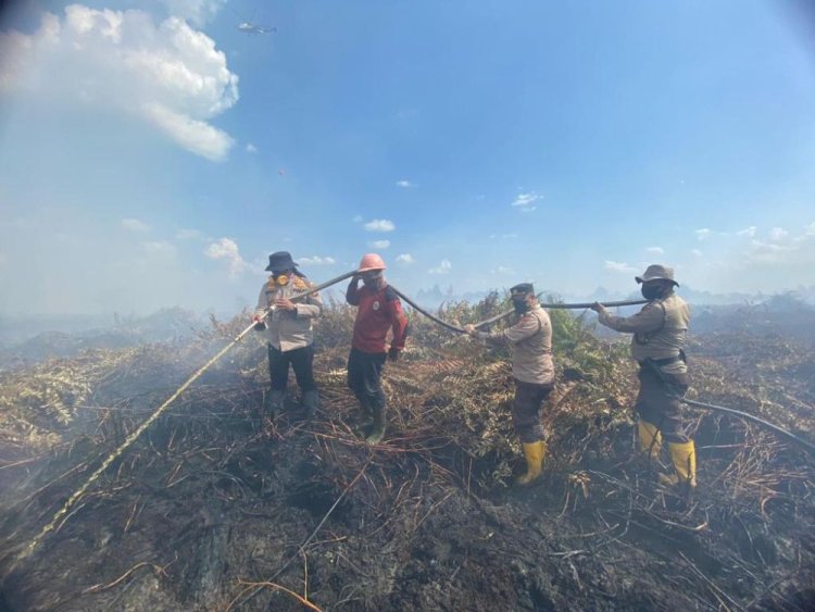 Waspadai Karhutla, 14 Hotspot Muncul di Wilayah Riau