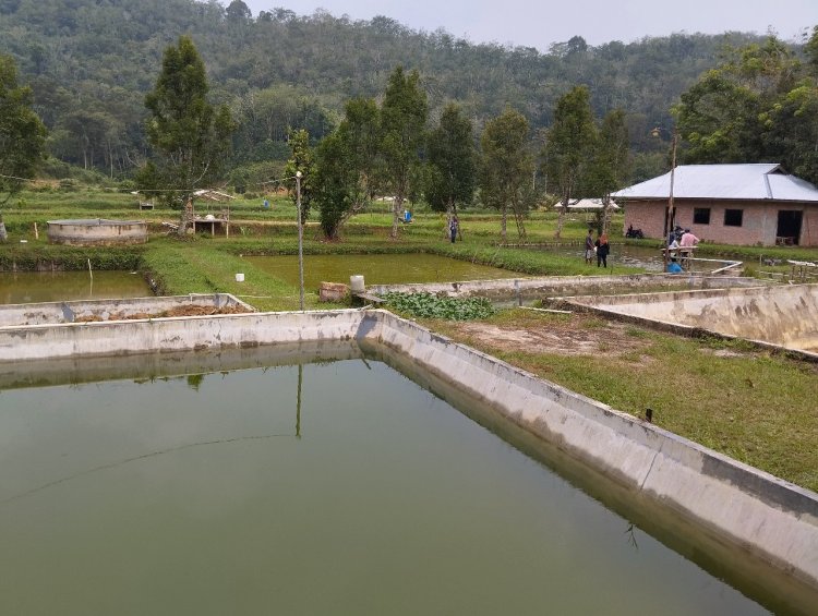 Dari Patin Wujudkan Zero Pengangguran Hingga Banjir Prestasi