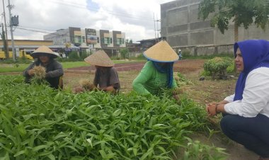 Nilai Tukar Petani Riau Naik Jadi 150,46 pada Agustus 2023
