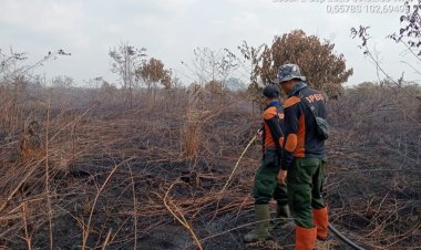 Riau 33 Titik Panas, Tim Gabungan Masih Padamkan Karhutla di Indragiri Hilir