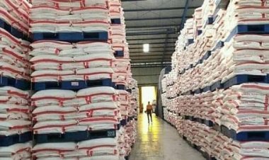 India Jadi Raja Gula Dunia, Indonesia Ketinggalan Jauh