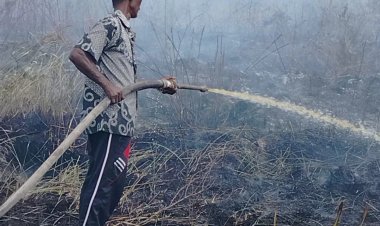 Pjs Penghulu Pasir Limau Kapas Berjibaku Padamkan Karhutla 