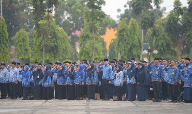Seleksi PPPK Pemprov Riau 2023 Dimulai 16 September, Ini Rincian Formasinya