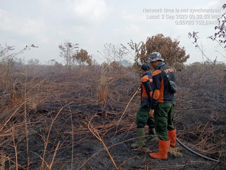 Riau 33 Titik Panas, Tim Gabungan Masih Padamkan Karhutla di Indragiri Hilir