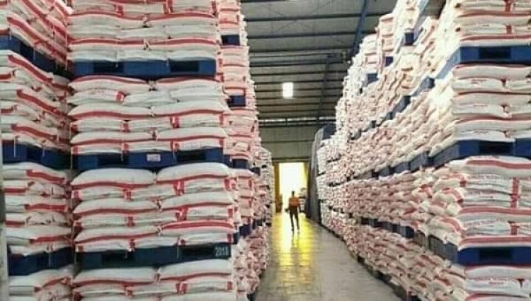 India Jadi Raja Gula Dunia, Indonesia Ketinggalan Jauh