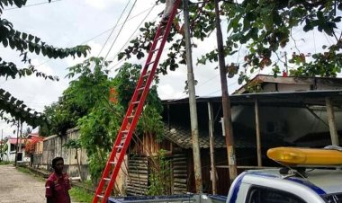 Dishub Pekanbaru dan PLN Tertibkan Penerangan Jalan Umum Ilegal