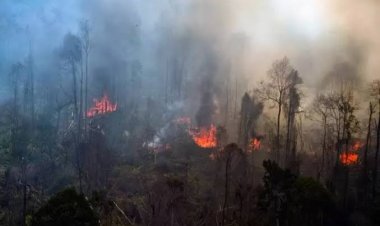 Akibat Karhutla, Kualitas Udara di Pekanbaru Mulai Tak Sehat