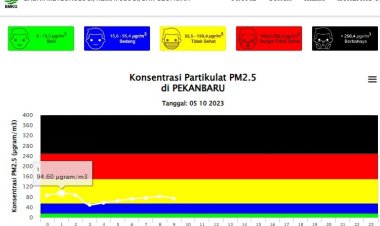 Kualitas Udara Pekanbaru Masih Tidak Sehat, BMKG Rilis Potensi Hujan Lebat Disertai Petir dan Angin Kencang, Simak Daerahnya