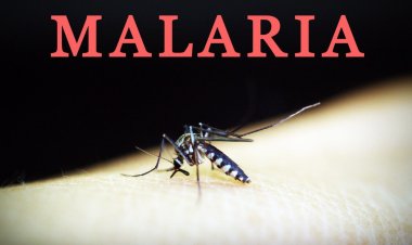 Pemkab Rokan Hilir Diminta Segera Tetapkan Status Darurat Malaria, Tembus 1.660 Kasus