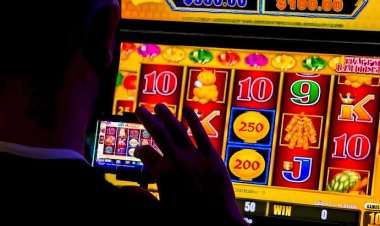 Ini yang Terjadi di Otak Ketika Sudah Kecanduan Judi Online